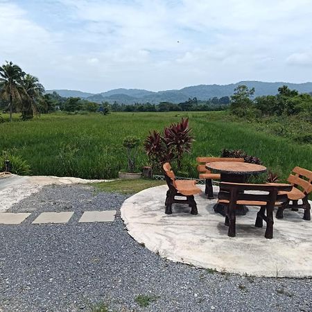 Damai D Homestay カンガー エクステリア 写真